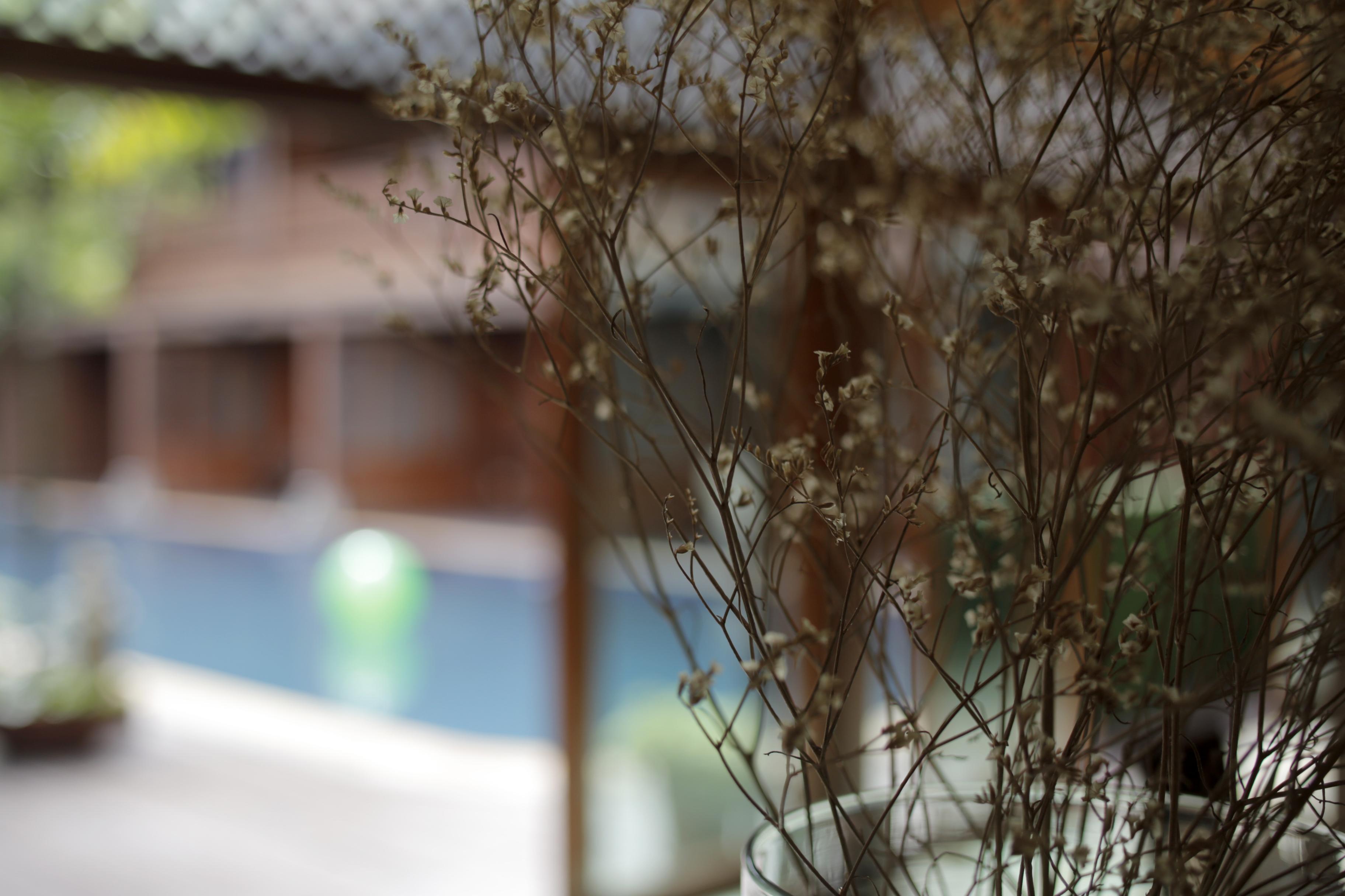 Baan U Sabai Boutique House-Sha Plus Chiang Mai Esterno foto